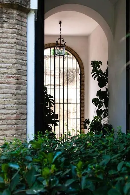 Apartment Zona 1 Santa Cruz Vistas Alcazares Parking Privado Seville Spain