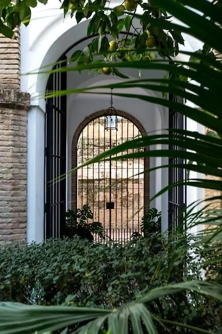 Zona 1 Santa Cruz Vistas Alcazares Parking Privado Seville